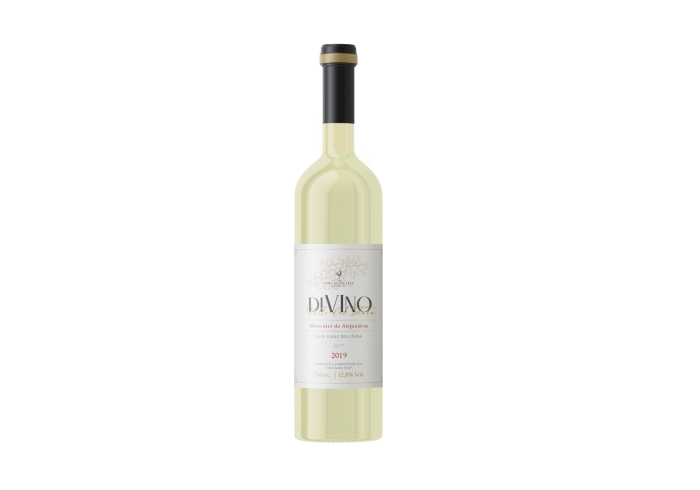 Divino Valle del Itata 2019